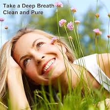 WoodyKnows Super Defense Nose Nasal Filters (3 Filter Frames and 6 Pairs of  Replacement Filters)(I-R/II-R/III-R) : Amazon.in