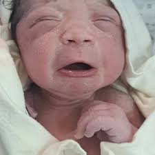 Daniel Leon Nuñez (@leondaniel) • Instagram photos and videos