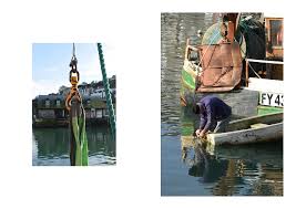 Pin On Photography Portfolio
