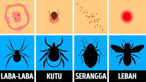 Kulit yang gatal karena gigitan serangga atau yang oleh dokter. Cara Mengenali Gigitan Serangga Dan Tindakan Yang Harus Dilakukan Youtube