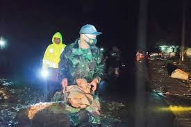 We did not find results for: Jalan Lintas Riau Sumbar Tertimbun Longsor Arus Lalu Lintas Buka Tutup