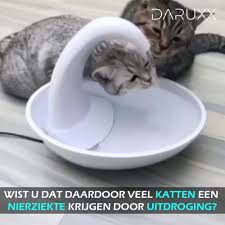 daruxx automatische kattenfontein cats animals you videos