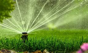 So 20 minutes, 3 times per week will get an inch of water on your lawn, and 30 minutes 3 times per week will get 1 ½ down. How And When To Water Your Lawn