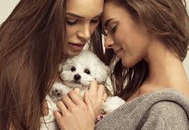 Old Straight White Hound Dog Asks Smart, Pretty Women To Teach Him New  Tricks: What Did He Learn?