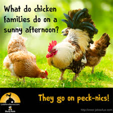 Birds Of The Same Feather Joke Pin On Jokes