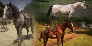 I Absolutely Love The Breton. A Real Good Horse. : R/Reddeadredemption