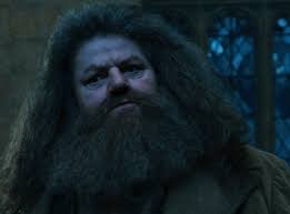 Hagrid