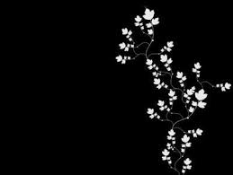 Simple Black On White Flower Ppt Backgrounds Black Background Wallpaper White Flower Background Flower Backgrounds