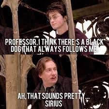 Harrypotter Memes Harrypottermemes Hermionegranger Ronweasley Wizard Book Movie Dani Harry Potter Jokes Harry Potter Memes Hilarious Harry Potter Puns