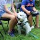 Read to a Therapy Dog event image