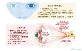It plays a role in social bonding, reproduction, childbirth, and the period after childbirth. Mydriasis What Is It Pronunciation Causes Glaucoma Risk Factor And More Osmosis