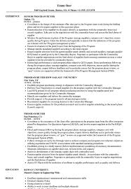 program buyer resume samples velvet jobs