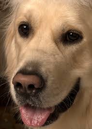 Sandy Bedell's Instagram, Twitter & Facebook