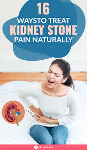 Pin On The Kidneys