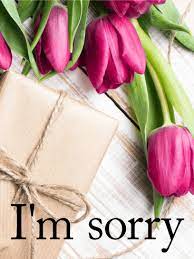 It certainly was an excellent experience. Flowers For An Apology I M Sorry Card Birthday Greeting Cards By Davia