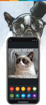 As you can see, making memes is not so hard. Meme Maker App Create Memes Online