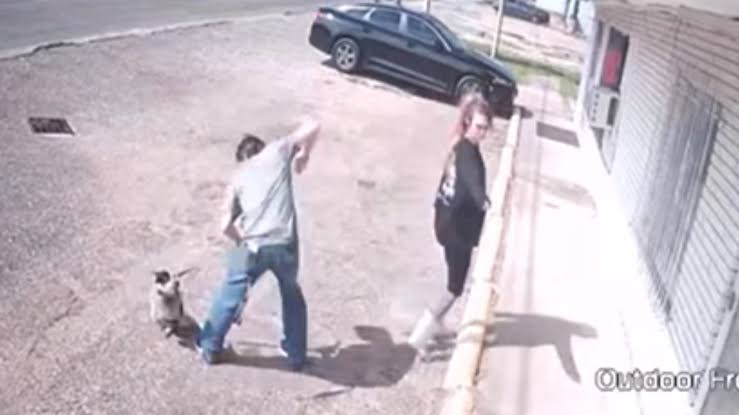Central Texas felon caught brutally beating dog in widely circulated surveillance footage sentenced to five years in prison