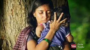 On our website along with all the fastivals we also celibrate mother's day by providing mother's day status video for whatsapp and instagram. Kgf Mother Song Whatsapp Status Tamil Youtube