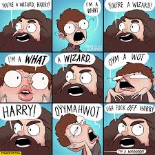 Wait, what do you mean you don't? You Re A Wizard Harry I M A What Hagrid Harry Potter Comic Starecat Com