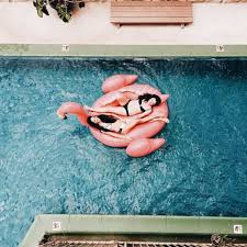 Giant Flamingo Pool Float Urban Outfitters Wishlist Affiliate Floaty Pool Photography Giant Flamingo Pool Float Flamingo Pool Float