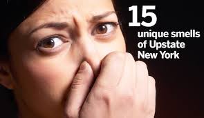 Smells of Upstate New York: Cheerios, manure and 13 others