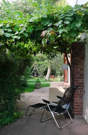 Auf unserer pinnwand sammeln wir die schönsten garteninspirationen. Berlin 37 Grad Ein Schattenplatz Mit Spaghetti Wein Bolleke Anneliwest Berlin