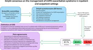 Image result for COPD Exacerbation Decision Tool