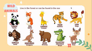 Soal bahasa inggris untuk kelas 1 sekolah dasar. Materi Bahasa Inggris Kelas 2 Sd Animals Youtube
