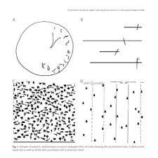 In mathematics, the bisection method is used to find the root of a polynomial function. Samples Of Patients Performances On Pencil And Paper Tests A Clock Download Scientific Diagram