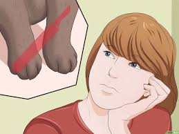 كيفية إيقاف قطة عن خدش الأثاث Wikihow
