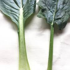 ほうれん草 野菜オタク 野菜辞典 Vol 31 フードメッセンジャー 加野 有美 食オタmagazine 食のオタクによる食のオタクのためのマガジン 食オタマガジン