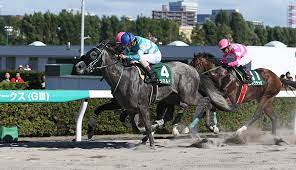 ホープフルステークスは、日本中央競馬会 (jra)が中山競馬場で施行する中央競馬の重賞 競走（gi）である 4 5。 競走名の「ホープフル (hopeful)」は、英語で「希望に満ちた」「望みを持つ」という意味 6。正賞は日本馬主協会連合会会長賞 2 3 ã‚¨ãƒ«ãƒ ã‚¹ãƒ†ãƒ¼ã‚¯ã‚¹ 2017 å‡ºèµ°äºˆå®šé¦¬ã¨ãƒ‡ãƒ¼ã‚¿åˆ†æž å‹ã¡é¦¬å€™è£œãŒ7é ­ ãƒ†ã‚¤ã‚¨ãƒ ã‚¸ãƒ³ã‚½ã‚¯ã«æ³¨ç›® ãƒ•ãƒ©ãƒ³ã‚±ãƒ«jr ã®ç«¶é¦¬äºˆæƒ³