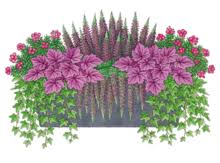 Beet U Balkon Gaertnerei Oestmann Gruenerleben De Pflanzideen Blumen Im Blumentopf Pflanzen