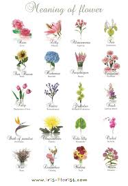 Flower Meaning1 Jpg 2766 4000 Birth Flower Tattoos Flower Tattoo Meanings Flower Meanings