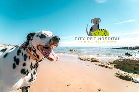 Maybe you would like to learn more about one of these? City Pet Hospital 170 Skyline Plaza Daly City Ca 94015 Usa