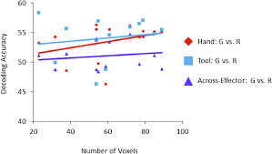 Decoding The Neural Mechanisms Of Human Tool Use Elife