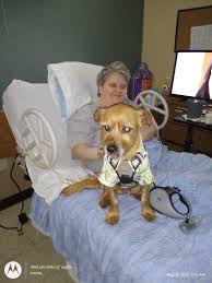 Wray Douglas Farris Obituary September 13, 2022