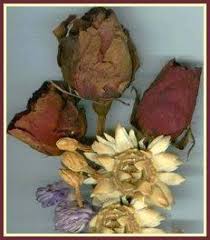 Is there any truth to silica sand based litter dust being hazardous to human or cat health? How To Dry Flowers With Cat Litter Dried Flowers Dried And Pressed Flowers How To Preserve Flowers