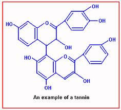 Image result for tannin