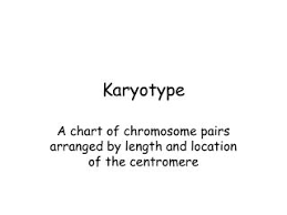 Ppt Karyotype Powerpoint Presentation Free Download Id