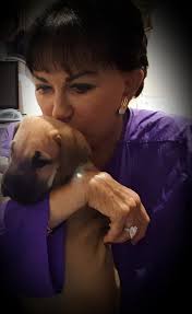 Renee Lois Greenberg Obituary