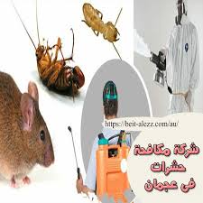 شركة مكافحة حشرات في عجمان Animals Insect Control Ajman