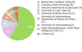 Image result for Fuirena abnormalis