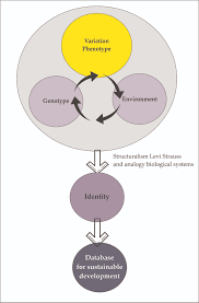 Especially if we are talking about some kind of fraud or just inaccessible to. Phenotype Genotype And Environment In Architecture Case Study Traditional Malay House West Borneo V1 Preprints