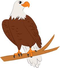 9,568 royalty free american eagle clip art images on gograph. Adler Clipart Kostenloser Download Creazilla