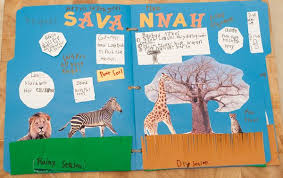 Savanna Lapbook Inside Lapbook First Grade Science Homeschool Science