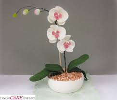 Potted Moth Orchid Tutorial Orchid Cake Flower Pot Cake Edible Cake Decorations