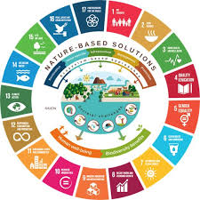 While the united nations has published lots of great content explaining the. Thinknature Auf Twitter To What Extent Are Ecosystemservices Supporting The Sustainable Development Goals Have A Look At This Article And Its Interesting Graphical Representations Resilientcities Environmentalresearch Innovation