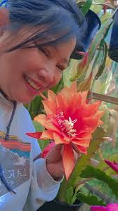 Norcal orchid epiphyllum care tips needed