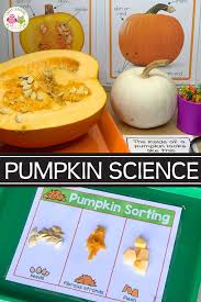The Best Pumpkin Science Activities That Will Engage Your Kids Pumpkin Science Activities Pumpkin Science Pumpkin Activities Preschool